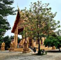 AmazingThailand Unseen พระผุด