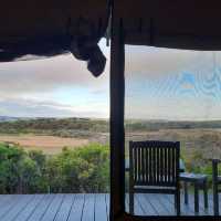 Great Ocean Road(12 Apostle) Stay