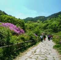 지리산 바래봉 등산 