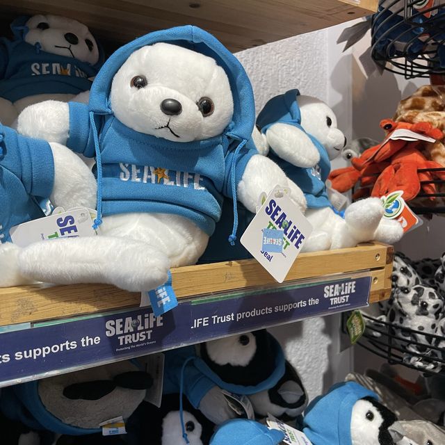 SEA LIFE 선샤인코스트 수족관 , SEA LIFE Sunshine Coast Aquarium