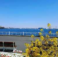山下公園
