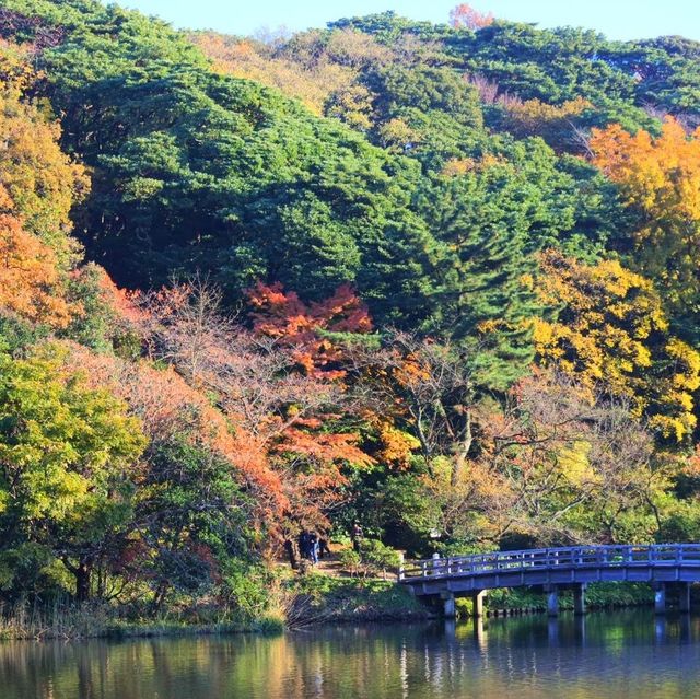 神奈川県にある三渓園！😆