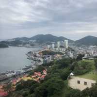 여수에서 해상케이블카 타고 오동도 둘러보기! 