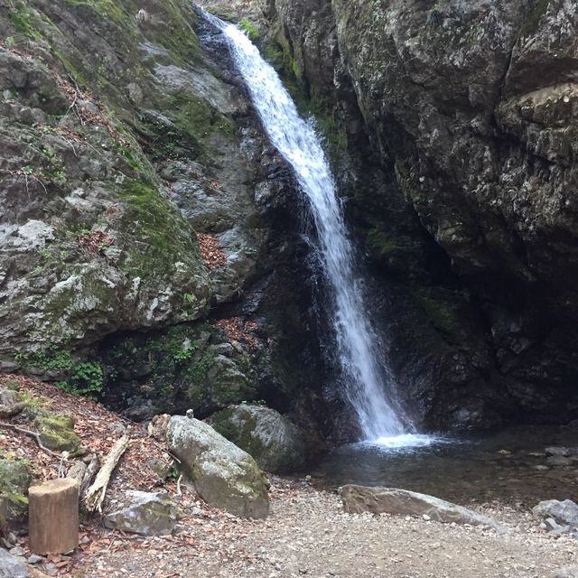 【御岳山】ハイキング