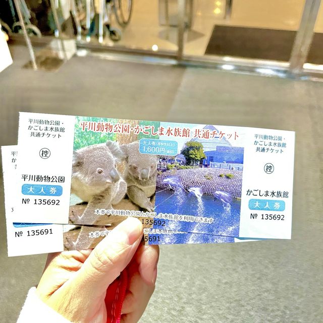 鹿児島県/鹿児島市【いおワールド かごしま水族館】