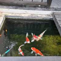 De Lanna Hotel Chiang Mai

เดอ ลานนา เชียงใหม่ 