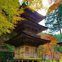 紅葉が素晴らしく　即身成仏のミイラがある珍しいお寺