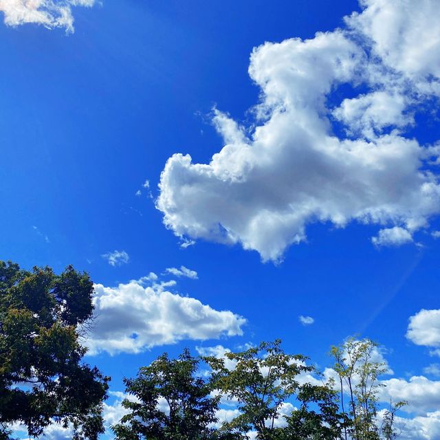 인생샷 찍기 좋은 반곡역💚