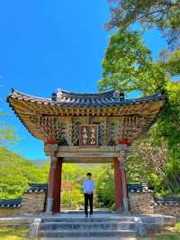 구례 천은사 산책하기 좋아요.