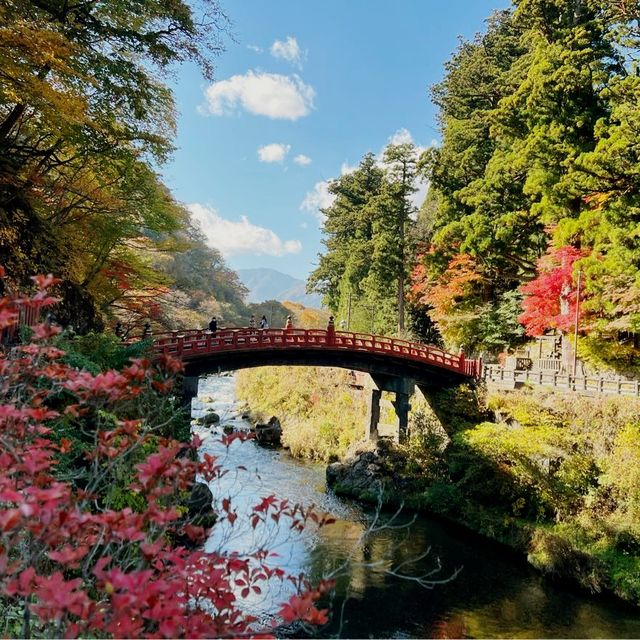 มรดกโลก สะพานชินเคียว🍁🍁🍁