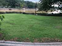 Nice inner-city landscaped park