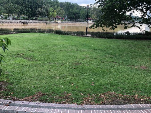 Nice inner-city landscaped park