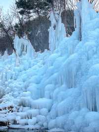 대구판 겨울왕국 ❄️👑