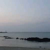 제주 서쪽 세화해변 밤산책