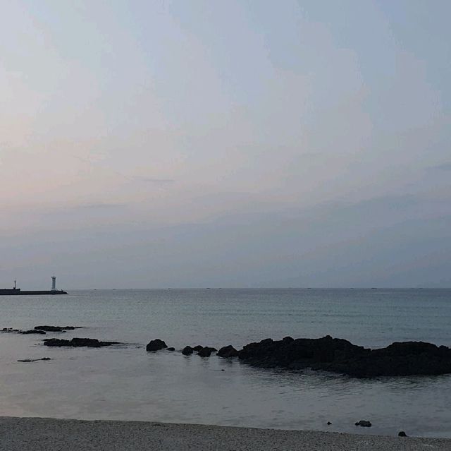 제주 서쪽 세화해변 밤산책