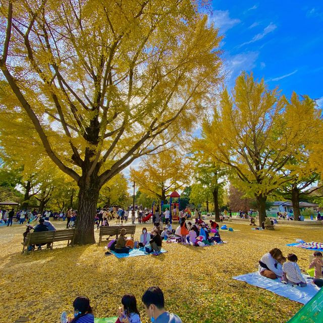 国営昭和記念公園のわんぱくゆうぐ