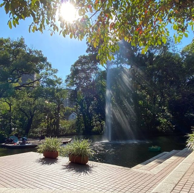 鬧市中的公園 — 九龍公園