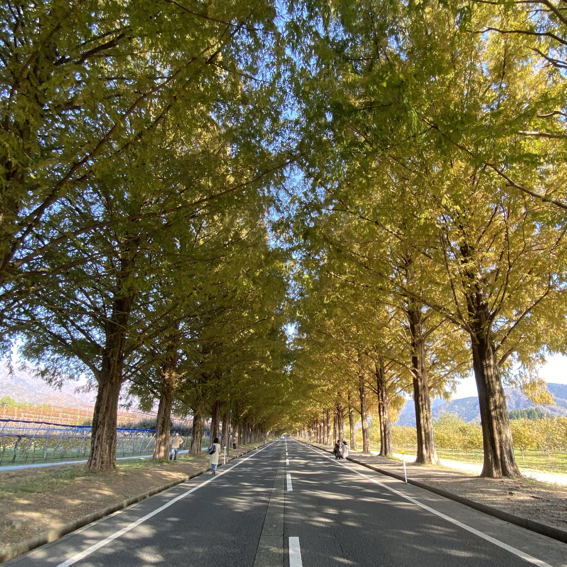 客室から冒険の旅へでかけられる最高のグランピング施設が滋賀県 Trip Com 滋賀県の旅のブログ