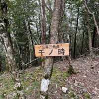 和歌山最高峰　護摩壇山