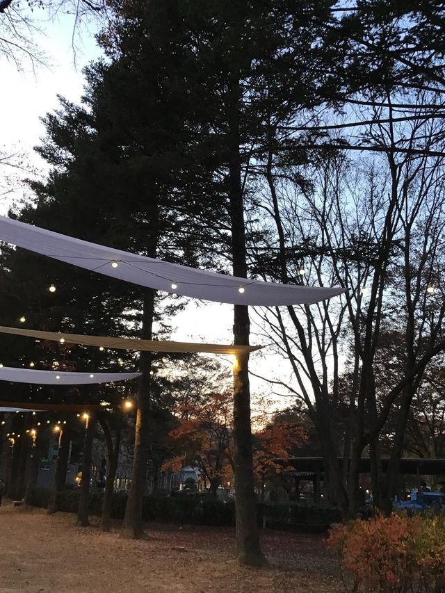 춘천 하면 남이섬이죠💖