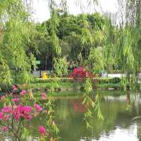 北區公園都可以影得好靚