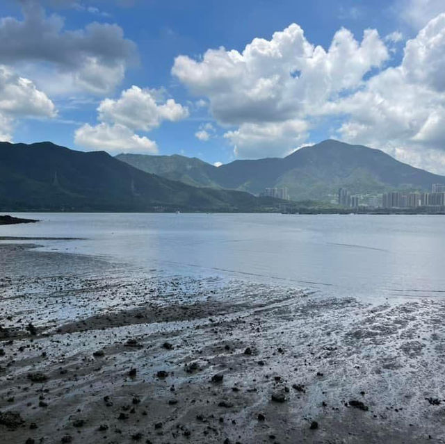鹿頸行山之旅😳遠望對岸清新之選 鹿頸行山之旅😳遠望對岸清新之選