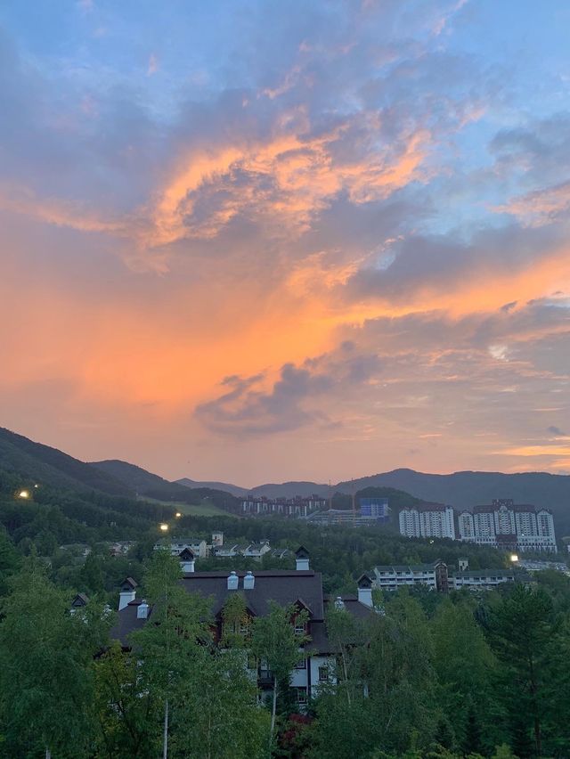 [평창] 스위스보다 더 스위스같은 용평리조트 버치힐콘도🏡