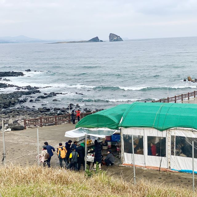 Jeju island 🇰🇷🏝⛰💗🫶🏻🛫✈️