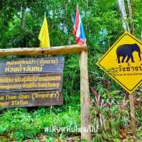 เขื่อนเชี่ยวหลาน 2คืน3วัน ธรรมชาติบำบัด มันดีมาก!!