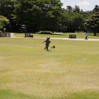 【金沢】金沢城公園