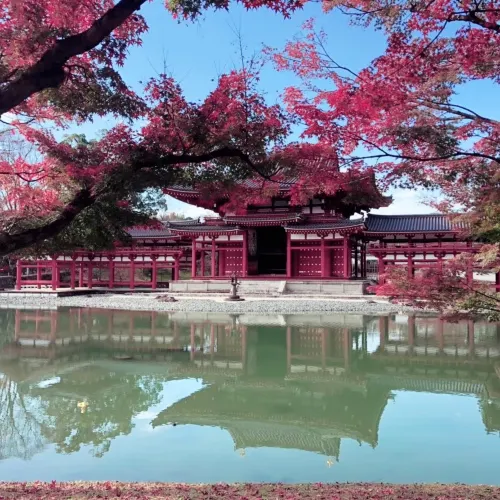 【京都府】現世の極楽浄土「平等院鳳凰堂」でもみじ狩り！