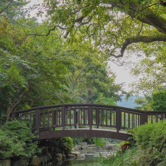 경주엑스포대공원 포토존 소개1 ‘비밀의정원’ 🌿