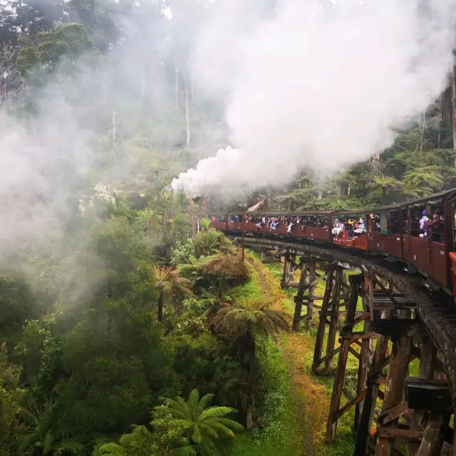 Puffing Billy Railway 親子遊