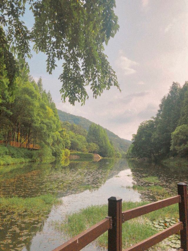 미동산수목원.  산책하기 딱 좋은 청주 외곽 여행지