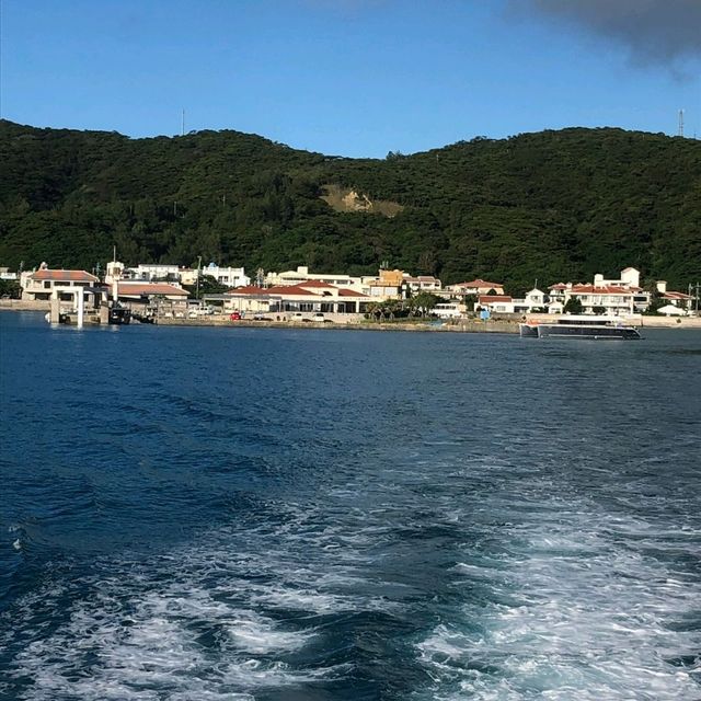 【沖縄 座間味島】憧れの座間味島🏝️🏝️✨