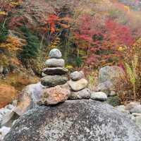 한라산 아래 제주 단풍 명소 <천아계곡>