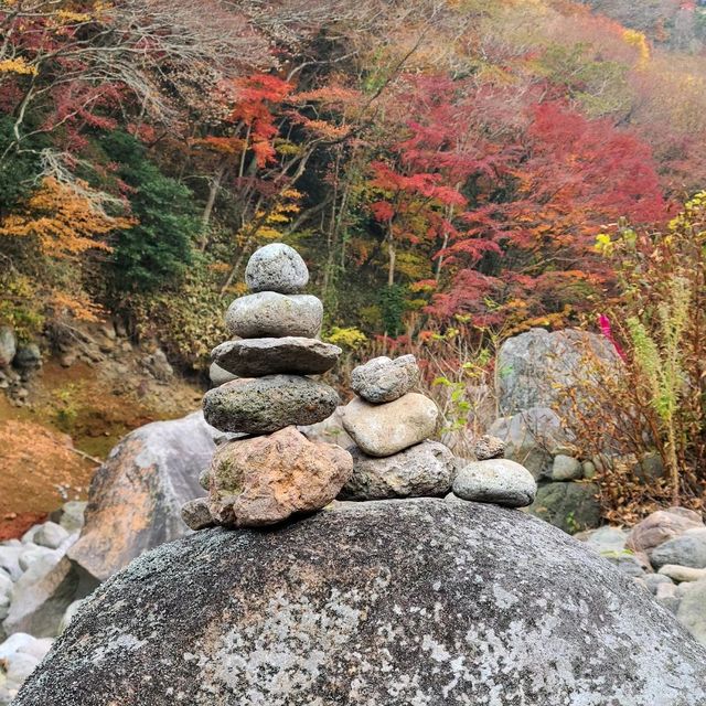 한라산 아래 제주 단풍 명소 <천아계곡>