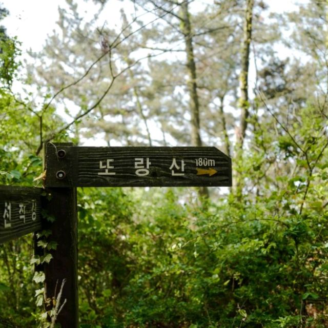 고대도 각시당, 당산 피크닉