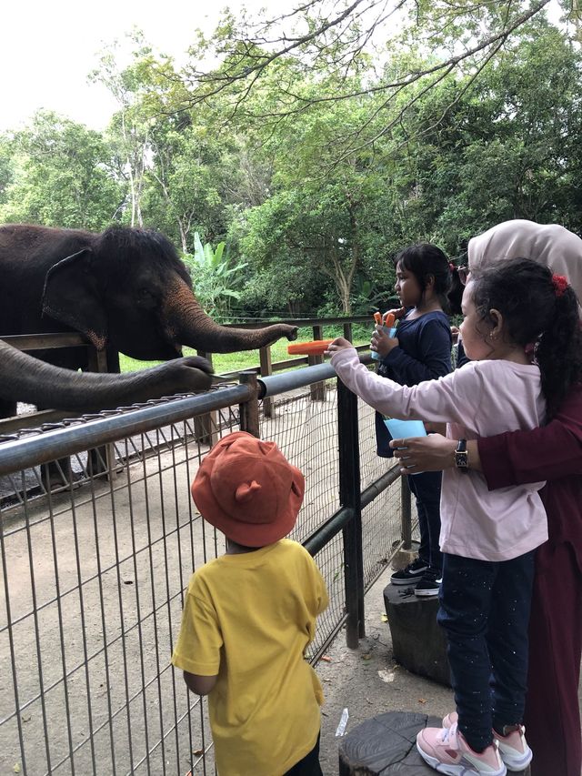 ; ZOO MELAKA. 🐘🦒🐎