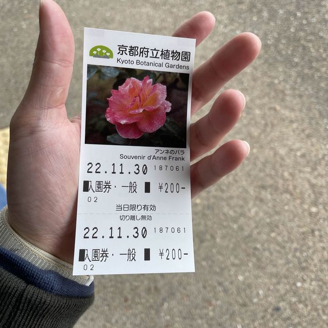紅葉🍁好地方 （京都府立植物園）
