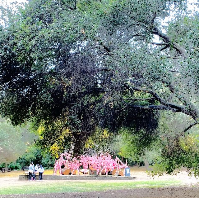 Descanso Garden in La Canada Flintridge, CA