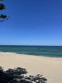 강릉 조용하고 청량한 바다 “송정해수욕장”🌊