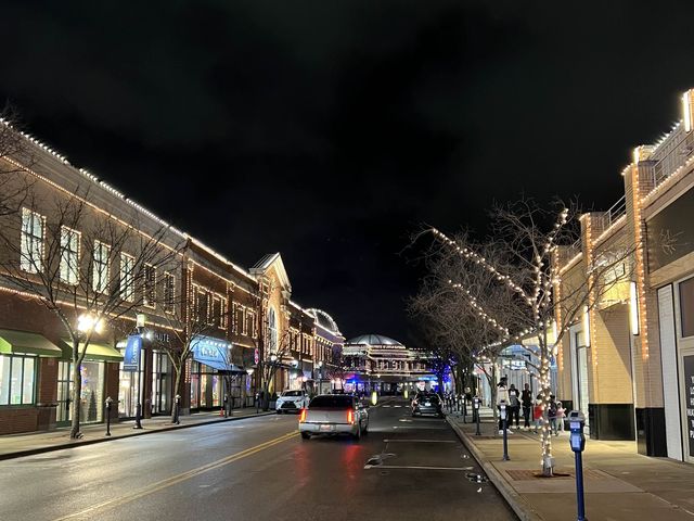 Christmas Lights - Easton Town Center