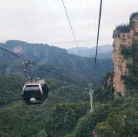 a lifetime trip to the land of "Avatar"! 