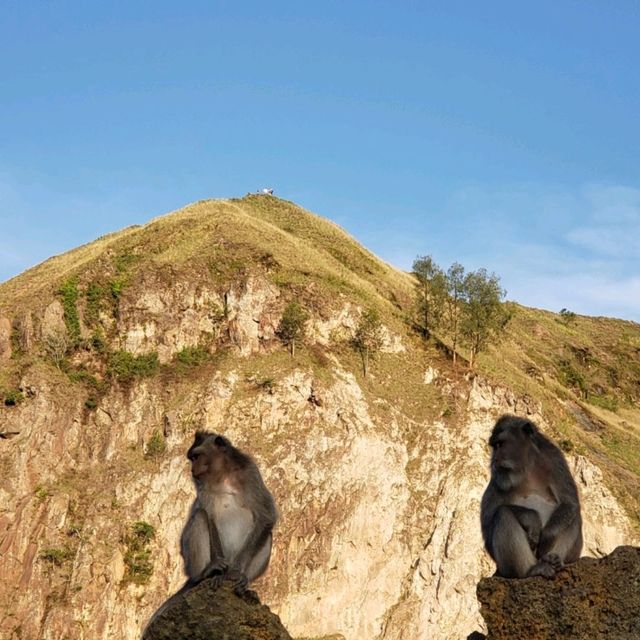Volcano Hike