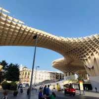 Mushrooms of Seville 