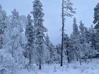 雪之領域❄️ - 🇫🇮芬蘭北部行政區 拉普蘭區(Lapland)