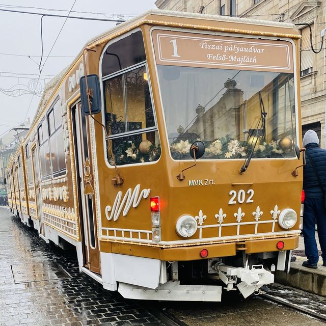 TRAVEL ON A SPECTACULAR GINGERBREAD TRAM🎄🚃