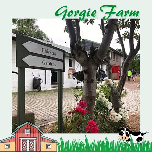 愛丁堡城市中的友好小農場Gorgie Farm