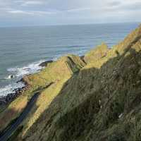 Day trip from Belfast - Giant's Causeway
